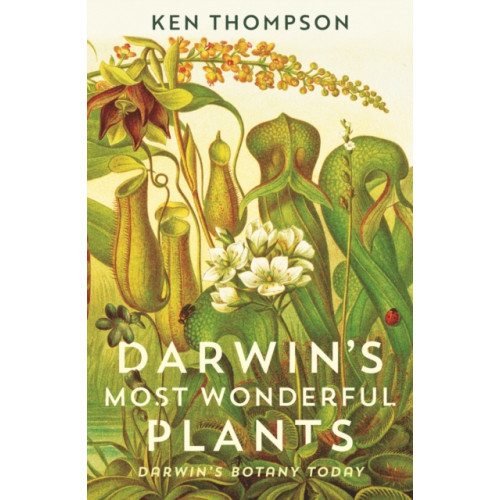Profile Books Ltd Darwin's Most Wonderful Plants (häftad)
