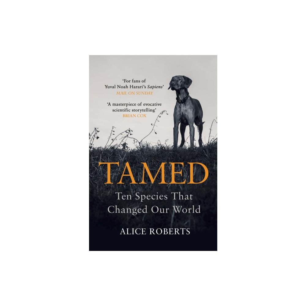 Produktbild för Tamed (häftad, eng)