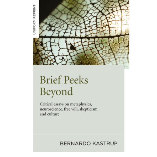 Collective Ink Brief Peeks Beyond (häftad, eng)