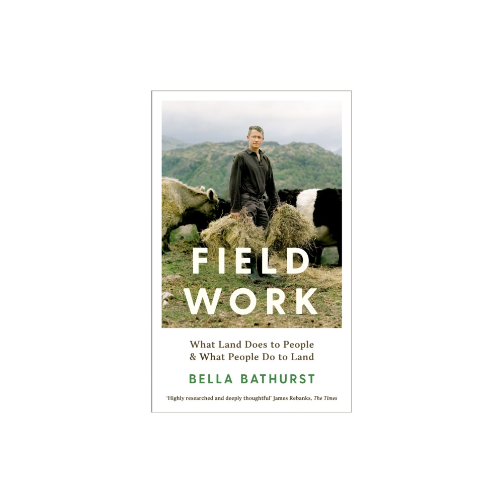 Produktbild för Field Work (häftad, eng)