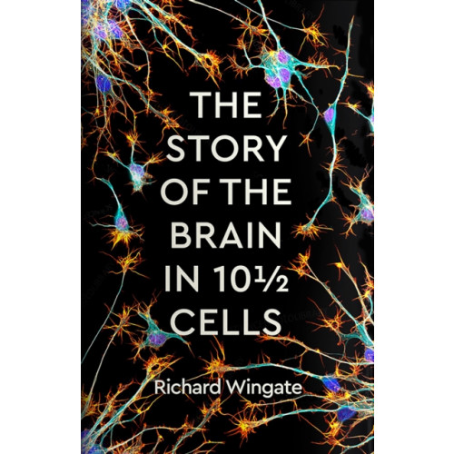 Profile Books Ltd The Story of the Brain in 10½ Cells (inbunden, eng)