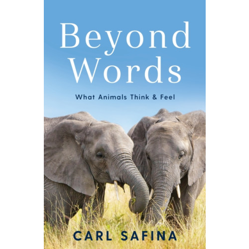 Profile Books Ltd Beyond Words (häftad, eng)