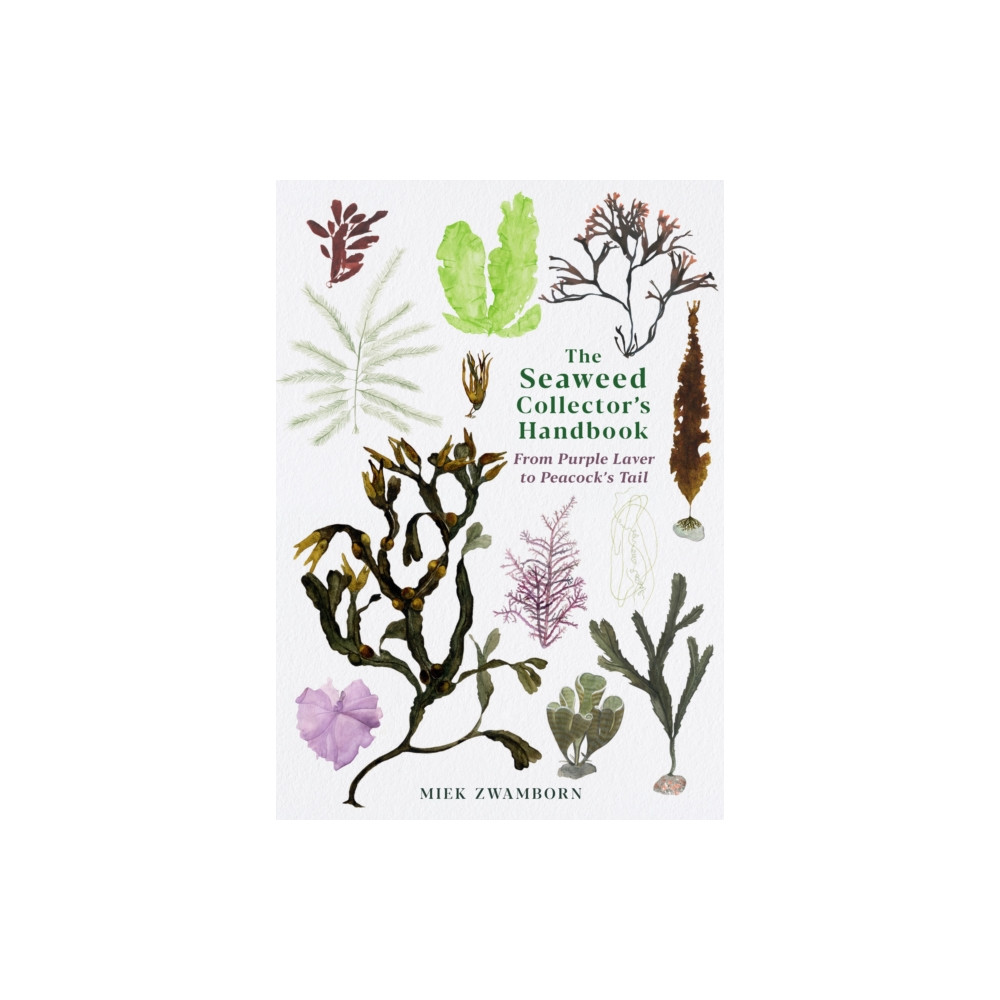 Produktbild för The Seaweed Collector's Handbook (häftad, eng)
