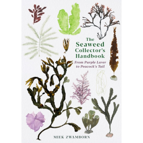 Profile Books Ltd The Seaweed Collector's Handbook (häftad, eng)