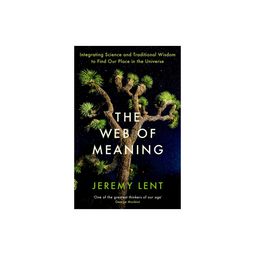 Produktbild för The Web of Meaning (häftad, eng)