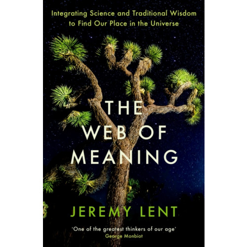 Profile Books Ltd The Web of Meaning (häftad, eng)