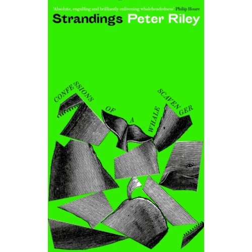 Profile Books Ltd Strandings (inbunden, eng)