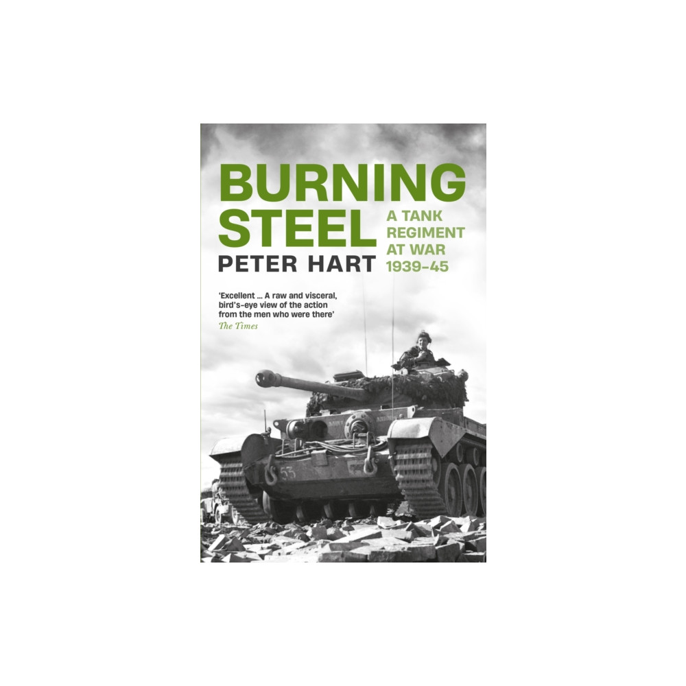Produktbild för Burning Steel (häftad, eng)
