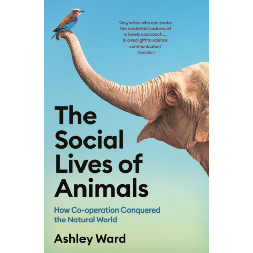 Profile Books Ltd The Social Lives of Animals (häftad)