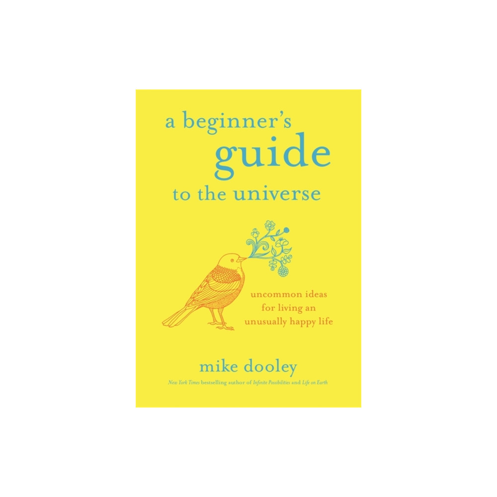 Produktbild för A Beginner's Guide to the Universe (häftad, eng)