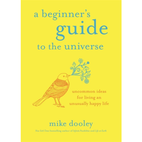 Hay House UK Ltd A Beginner's Guide to the Universe (häftad, eng)