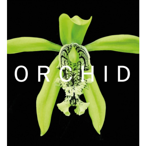 Scala Arts & Heritage Publishers Ltd ORCHID (inbunden, eng)