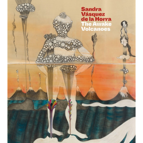 Scala Arts & Heritage Publishers Ltd Sandra Vasquez de la Horra (häftad, eng)