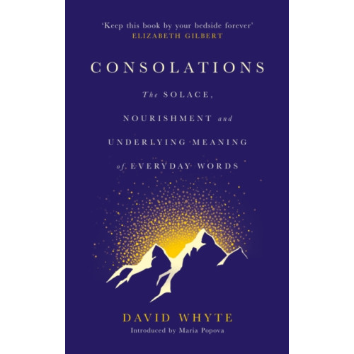 Canongate Books Consolations (inbunden, eng)