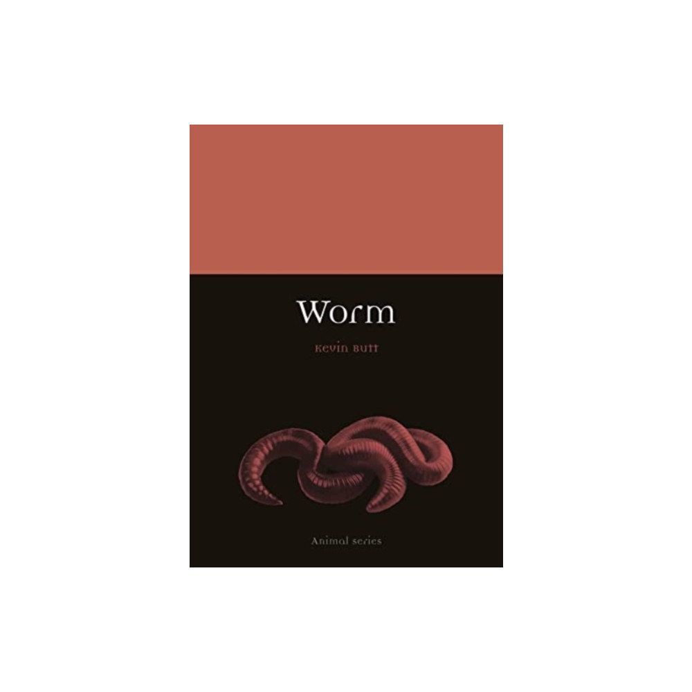 Produktbild för Worm (häftad, eng)