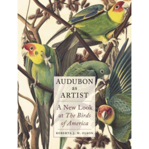 Reaktion Books Audubon as Artist (inbunden, eng)