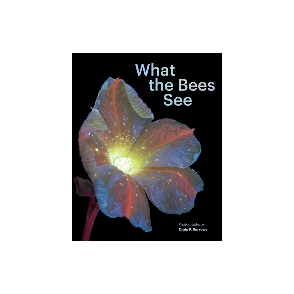 Produktbild för What the Bees See (inbunden, eng)