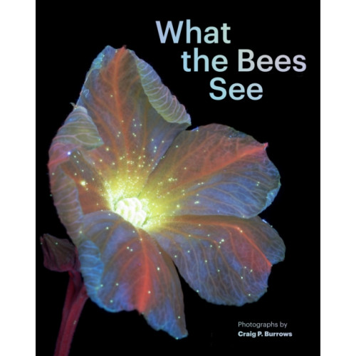 Chronicle Books What the Bees See (inbunden, eng)