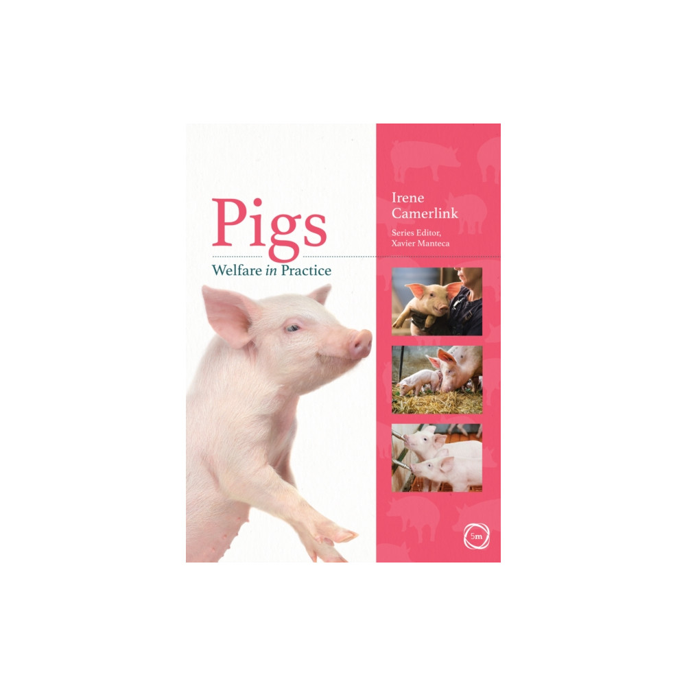 Produktbild för Pigs Welfare in Practice (häftad, eng)