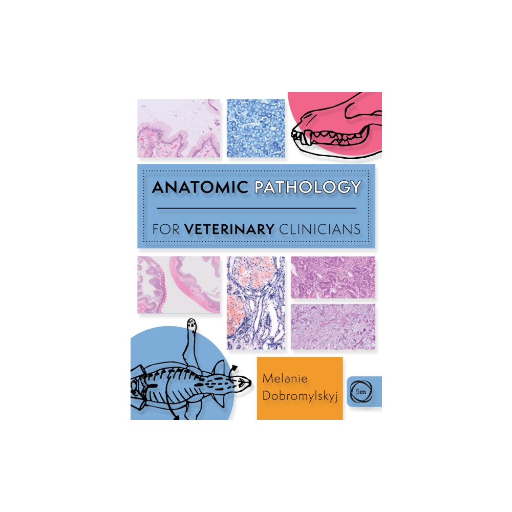 Produktbild för Anatomic Pathology for Veterinary Clinicians (häftad, eng)