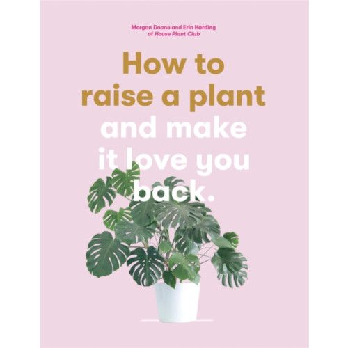 Orion Publishing Co How to Raise a Plant (häftad, eng)