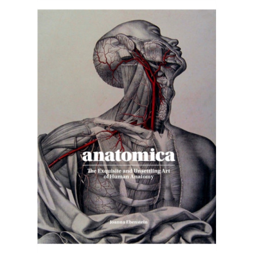 Orion Publishing Co Anatomica (inbunden, eng)