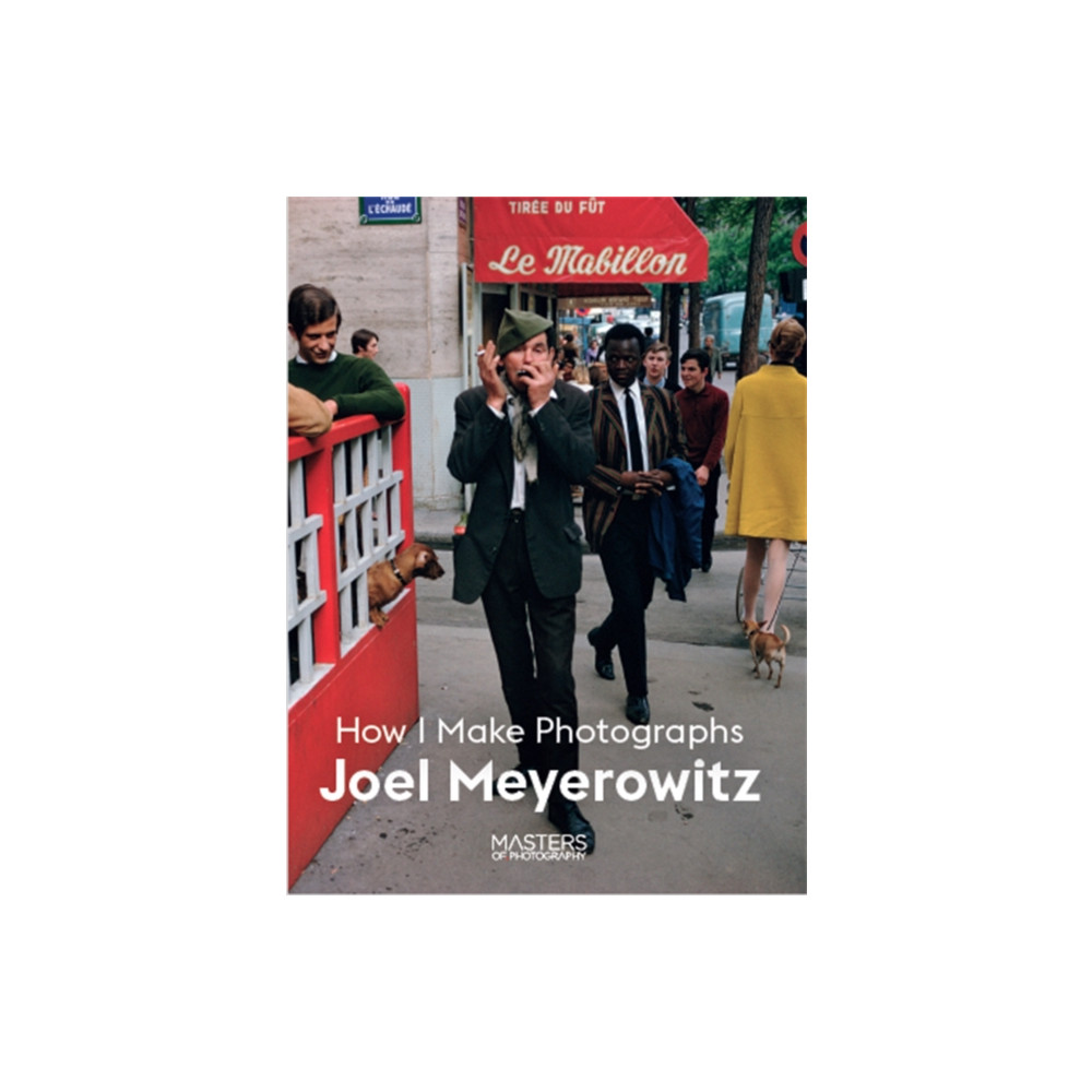 Produktbild för Joel Meyerowitz (häftad, eng)