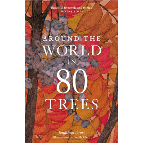 Orion Publishing Co Around the World in 80 Trees (häftad, eng)