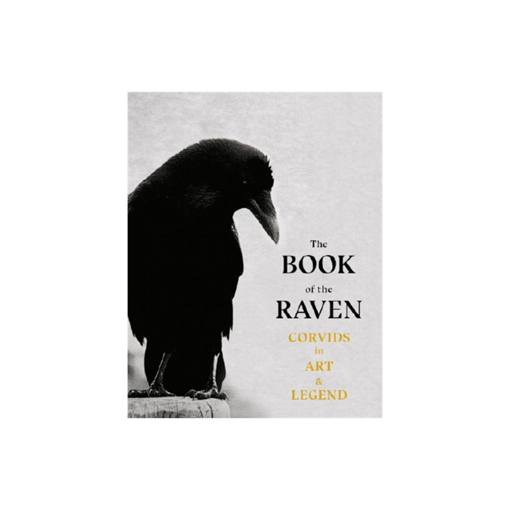 Produktbild för The Book of the Raven (häftad, eng)