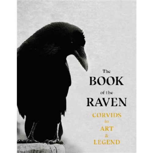 Orion Publishing Co The Book of the Raven (häftad, eng)