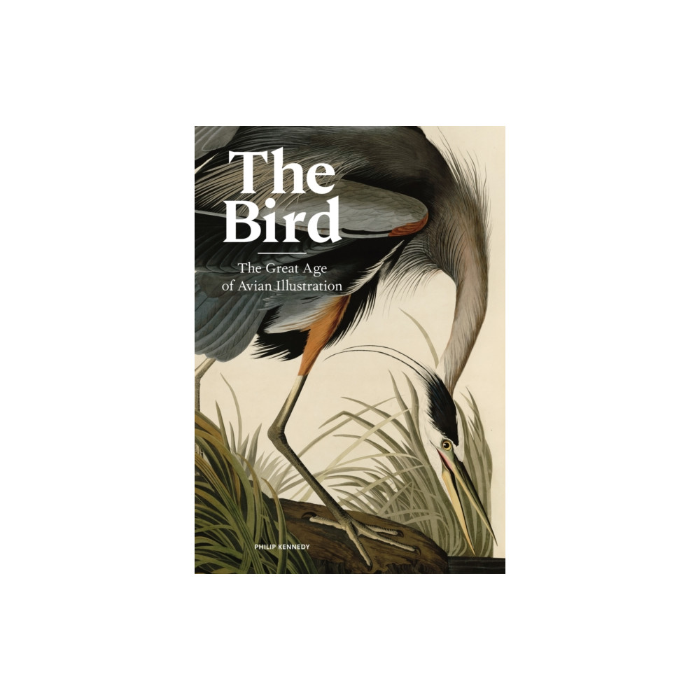Produktbild för The Bird (inbunden, eng)