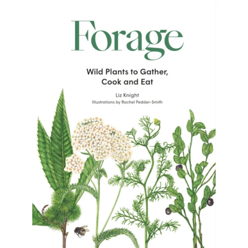 Orion Publishing Co Forage (inbunden, eng)