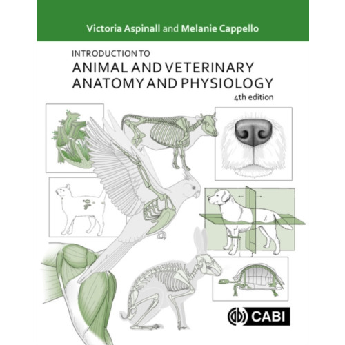 CABI Publishing Introduction to Animal and Veterinary Anatomy and Physiology (häftad, eng)