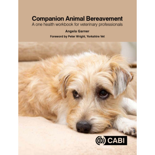 CABI Publishing Companion Animal Bereavement (häftad, eng)