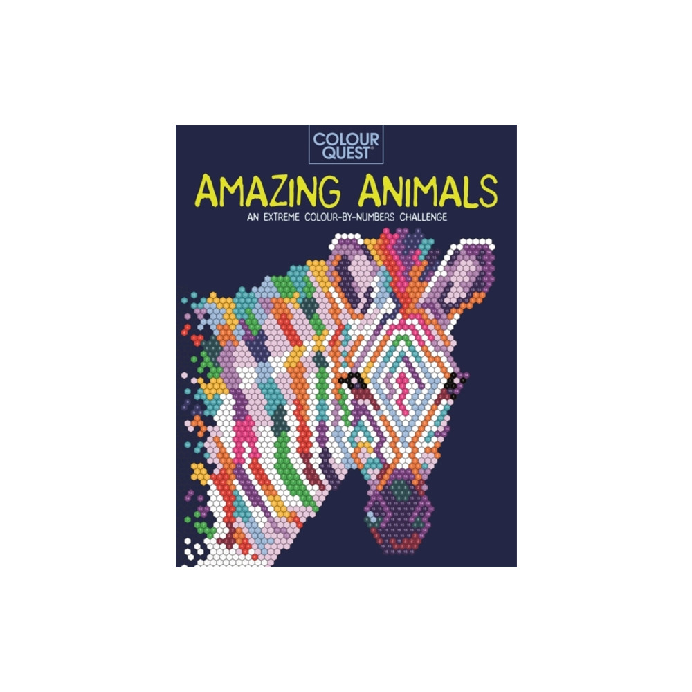 Produktbild för Colour Quest®: Amazing Animals (häftad, eng)