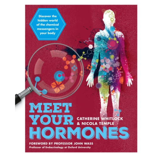 Octopus publishing group Meet Your Hormones (häftad, eng)