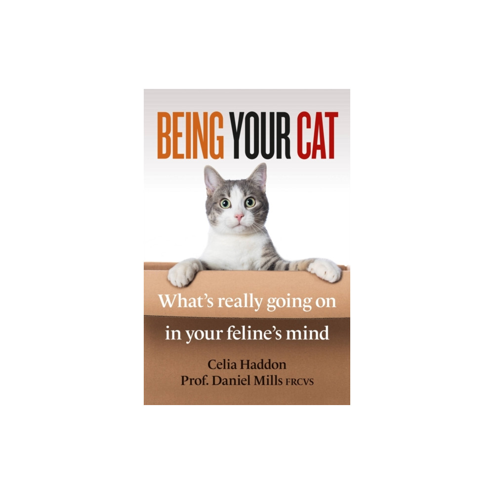 Produktbild för Being Your Cat (häftad, eng)