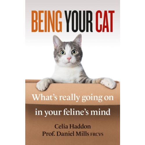 Octopus publishing group Being Your Cat (häftad, eng)