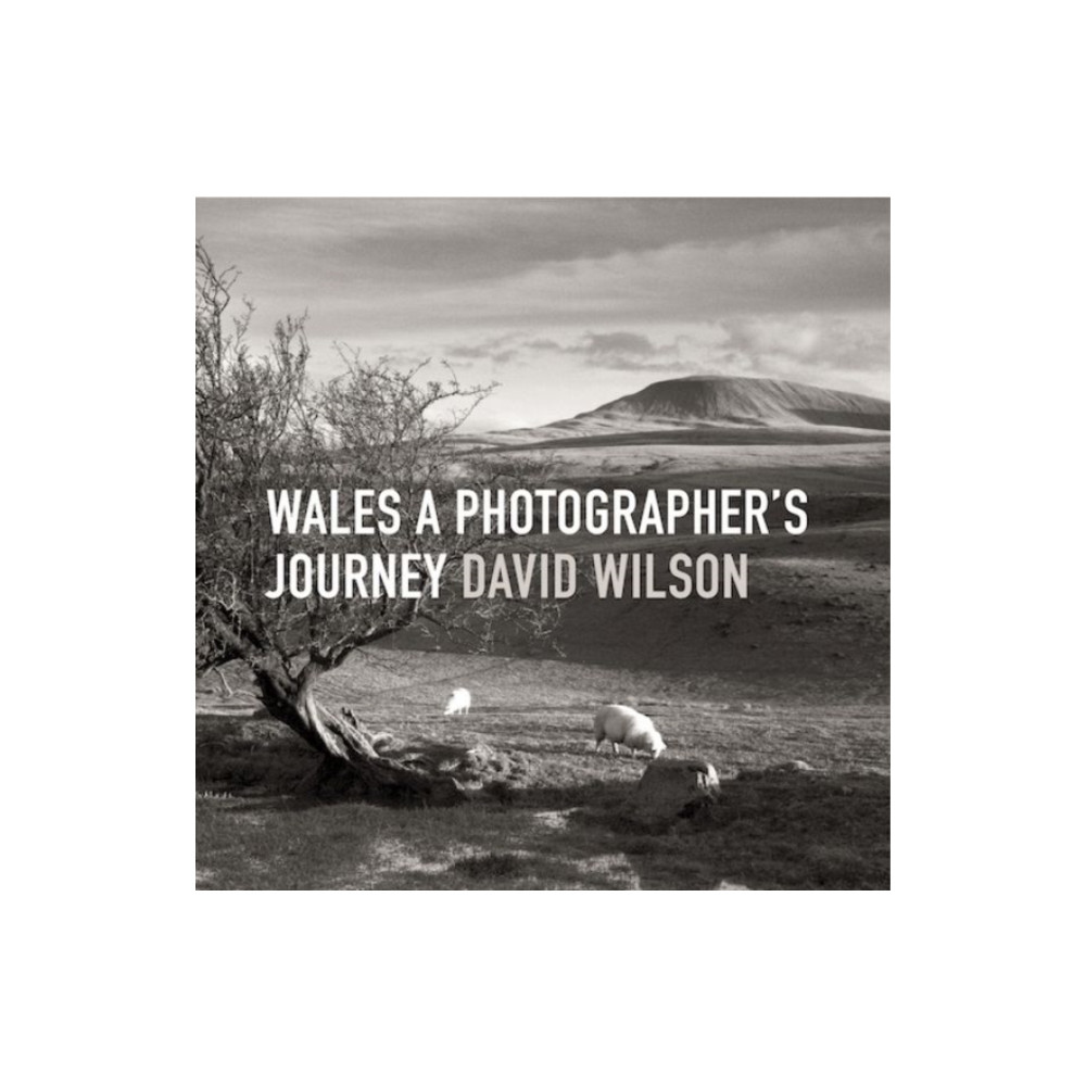 Produktbild för Wales - A Photographer's Journey (inbunden, eng)