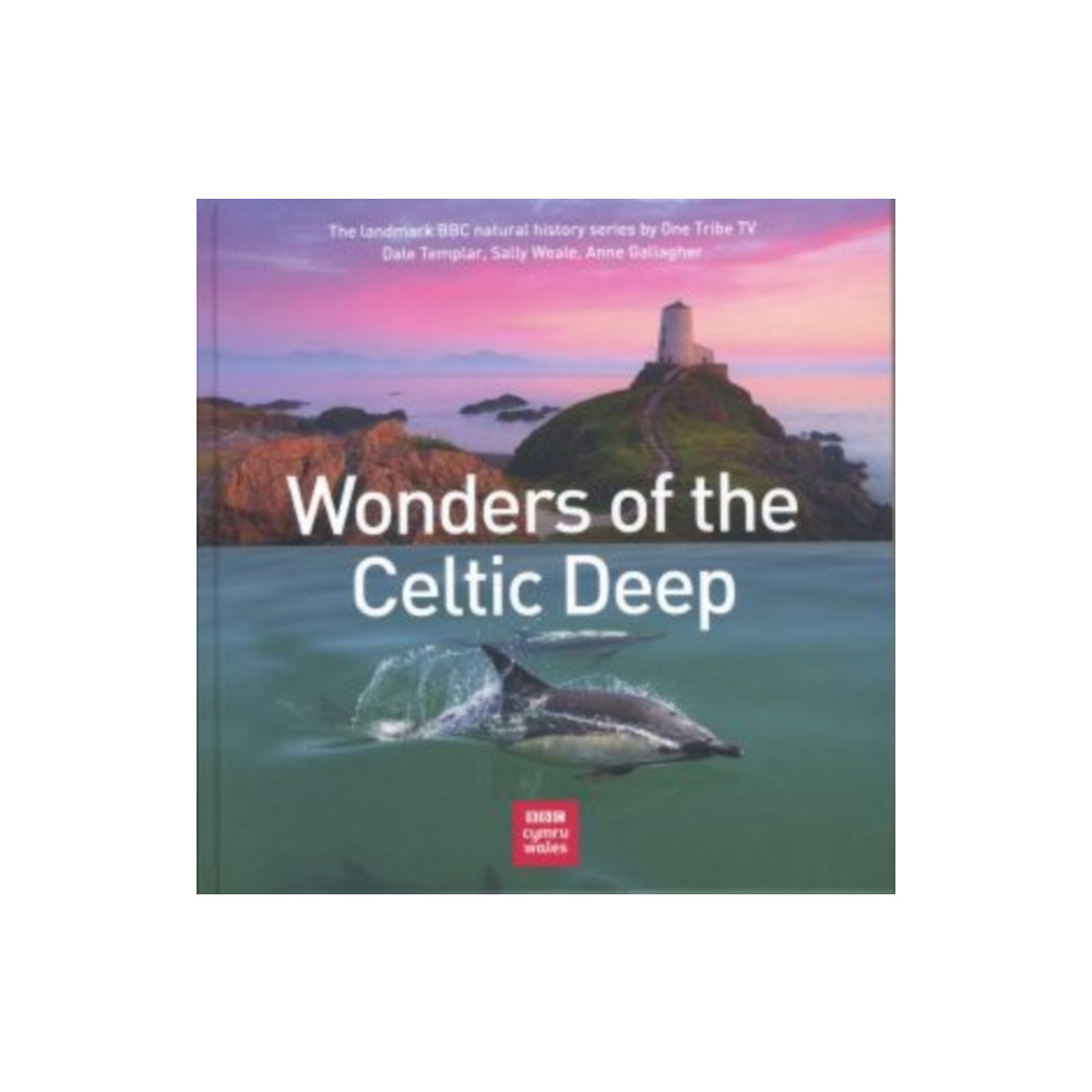 Produktbild för Wonders of the Celtic Deep (inbunden, eng)