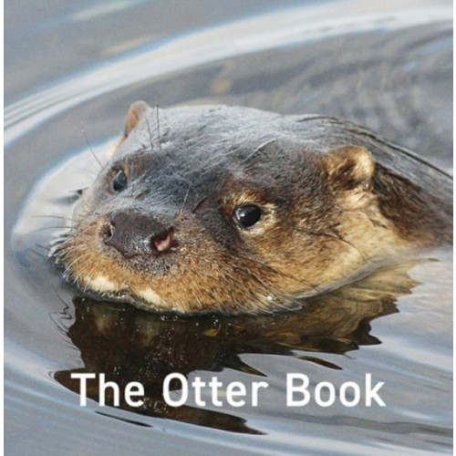 Graffeg Limited Otter Book, The (inbunden, eng)