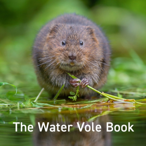 Graffeg Limited Water Vole Book, The (inbunden, eng)