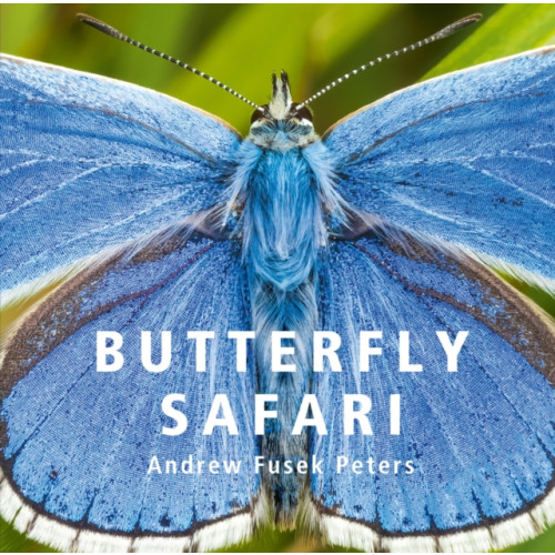 Graffeg Limited Butterfly Safari (inbunden, eng)