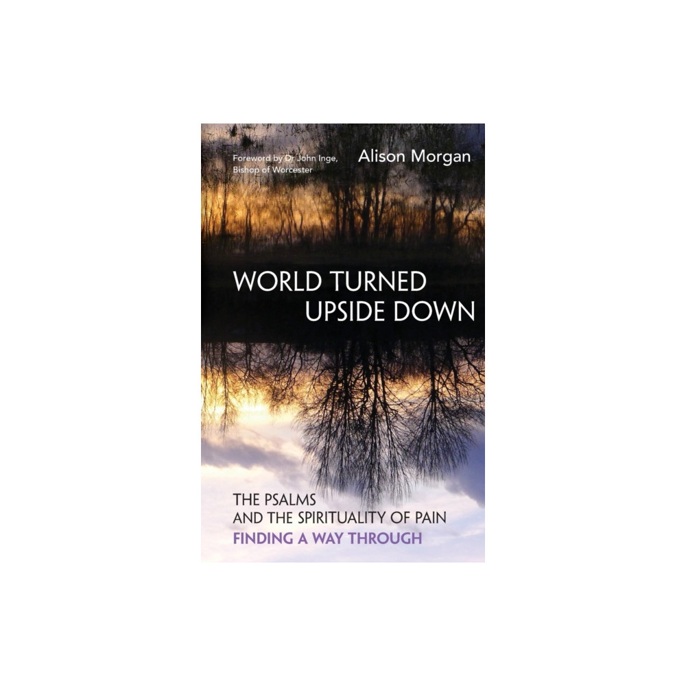 Produktbild för World Turned Upside Down (häftad, eng)