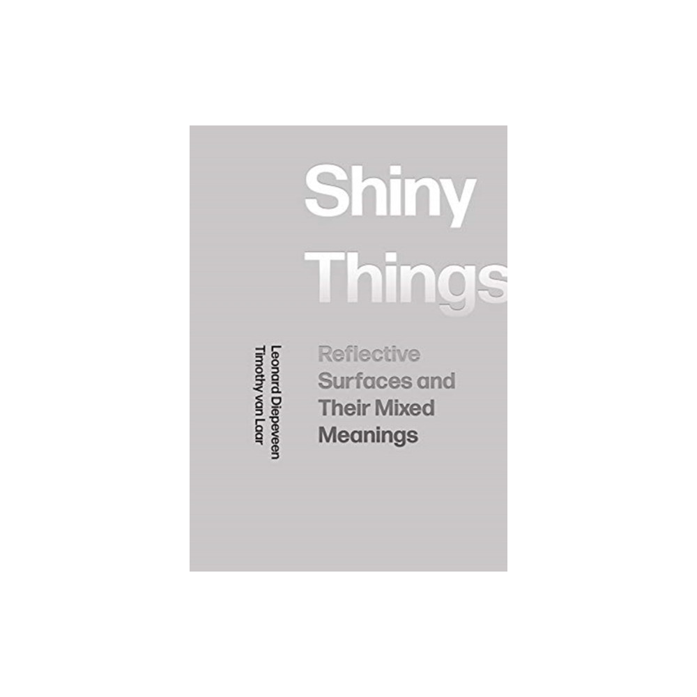 Produktbild för Shiny Things (häftad, eng)