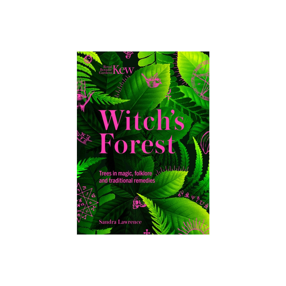 Produktbild för Witch's Forest (inbunden, eng)