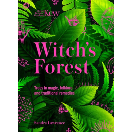 Headline Publishing Group Witch's Forest (inbunden, eng)