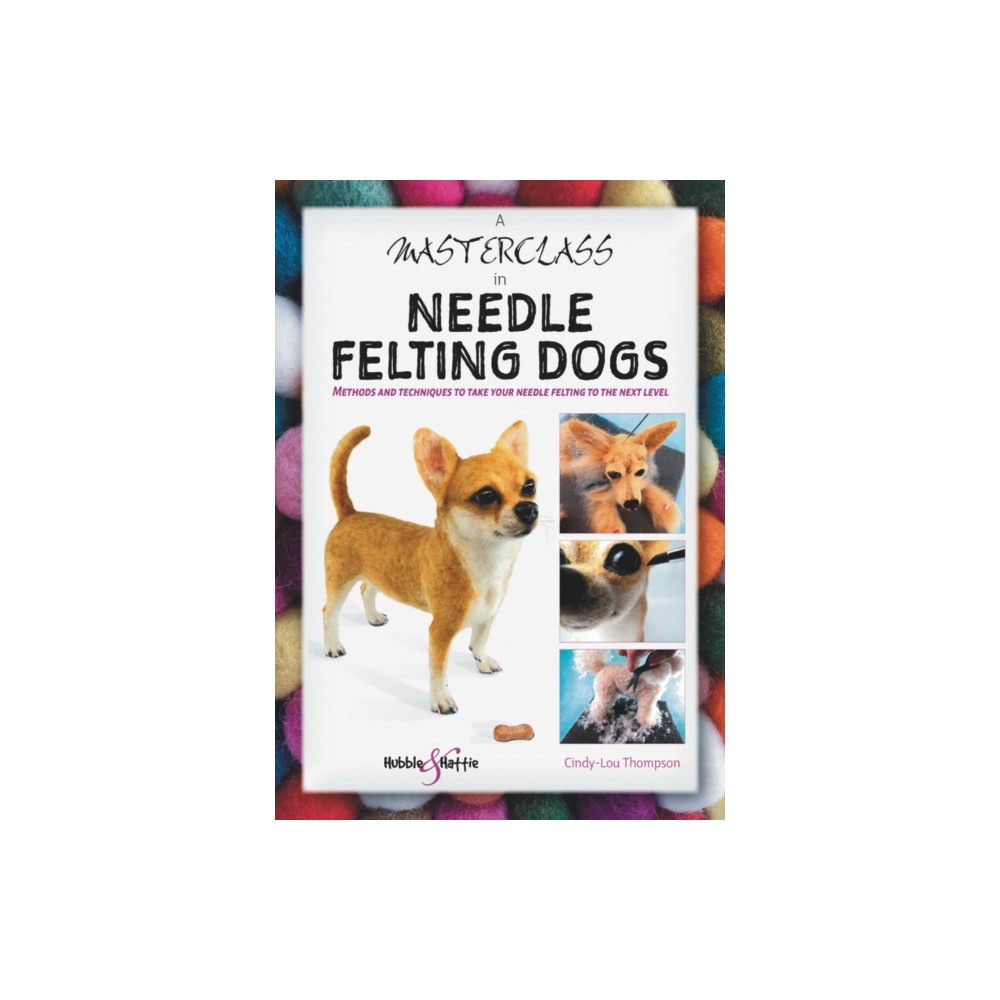 Produktbild för A Masterclass in Needle Felting Dogs (häftad, eng)