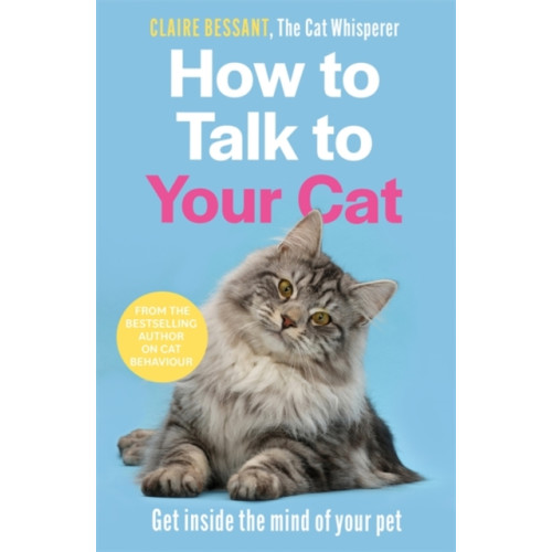 John Blake Publishing Ltd How to Talk to Your Cat (häftad, eng)