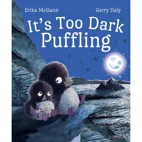 O'Brien Press Ltd It's Too Dark, Puffling (inbunden, eng)